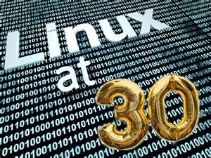 Linux, happy 30th birthday! What the future holds for Linux - TechRepublic