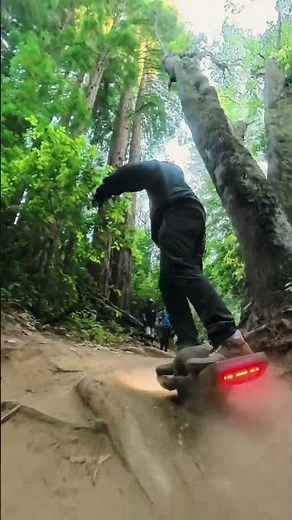 The XL makes it look easy