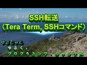 【SSH】SSH転送(Tera Term, SSHコマンドによる設定)