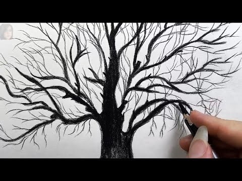 Realistic Leafless Tree Drawing | Easy Branch Sketch Tutorial