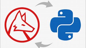 The Wolfram Language for Python Users