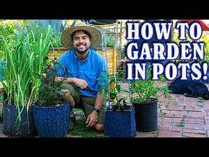Container Gardening 101: From Pot To Plant