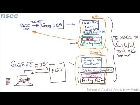 Digital Certificates: Chain of Trust