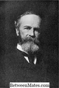 Unterschied zwischen Funktionalismus und Behaviorismus | Funktionalismus vs. Behaviorismus - Bildung 2025