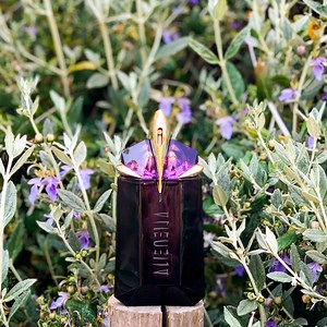 Mon avis sur l’eau de parfum Alien de Mugler - Dans Mon Sac de Fille
