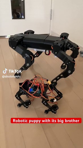 Synchronized 3D Printed Robot Dog with Arduino