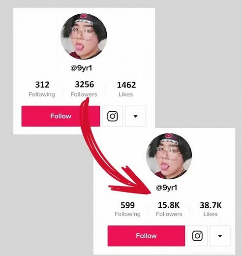 TikTok Follower Bot