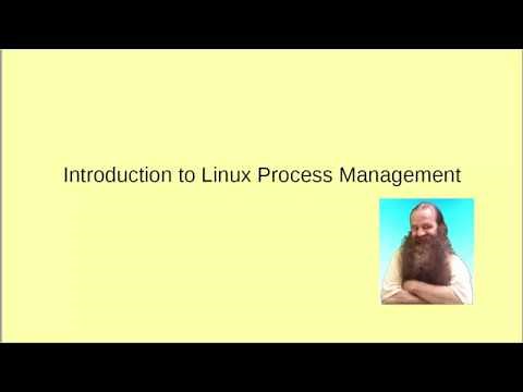 Introduction to Linux Process Management