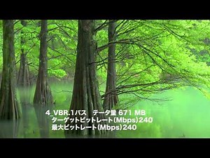 Adobe Media Encoder 書き出し設定 エンコードモード CBR,VBRの画質の違い