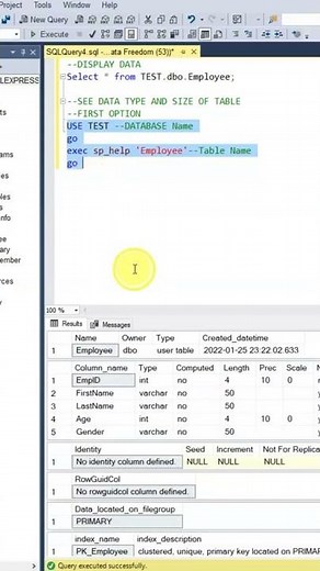 SQL SERVER: Find the Data Type and Size of a Column in a Table using SP_HELP