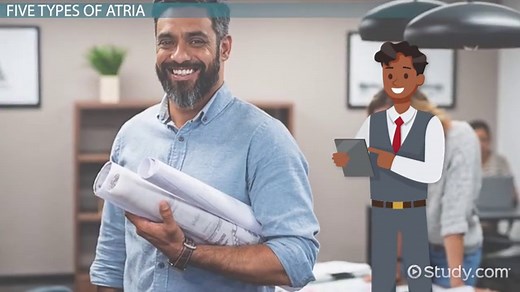 Atrium in Architecture | Definition & Examples