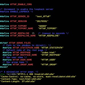 micro HTTP server in C