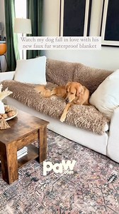 22K views · 186 reactions | Discover the ultimate comfort for your...