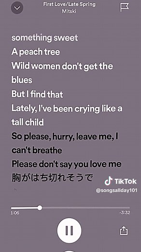 Mitski First Love Late Spring Lyrics and Meaning