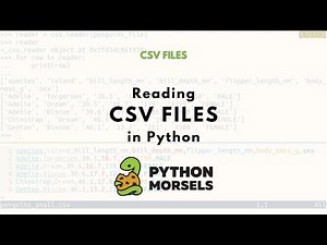 Reading a CSV file in Python