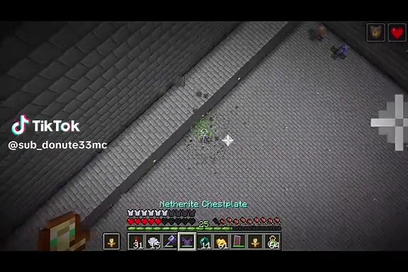 Exciting Minecraft Build Revealed at the End