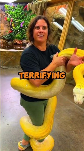 🚨 NEAR DEATH! 🤯 Massive Snake Suffocates Caretaker ON CAMERA! 😭