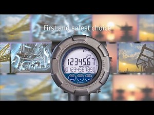 Unequalled, safe, robust and user-friendly: E-Series - Explosion Proof Totalizers