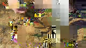 Beyond the Tide is back with more bizarre creatures! #bravewilderness | Coyote Peterson