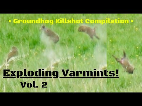 Groundhog Killshot Compilation...Exploding Varmints Vol. 2!!!