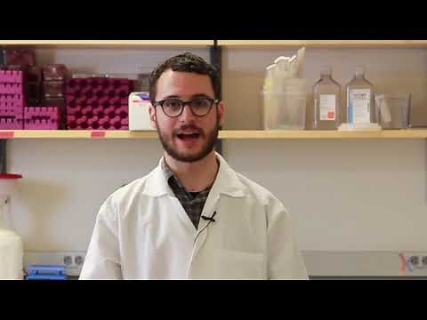 PCR Method Video - YouTube