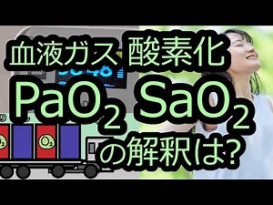 PaO2＆SaO2の基本と酸素化の評価【血ガスの呼吸１】【１分で血液ガスをざっくり評価しよう③】
