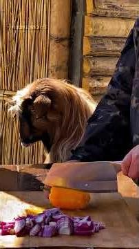 Octopus 🐙 with Vegetables - ASMR Nature Cooking