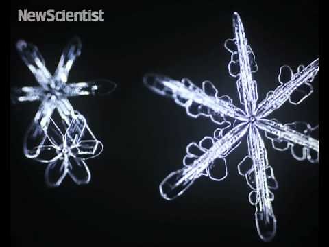 Six-sided snowflakes bloom in slow motion