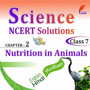 NCERT Solutions for Class 7 Science Chapter 2 Nutrition in Animals
