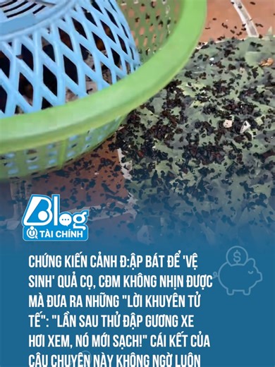 Ngộ nghĩnh với bát cọ 'hi sinh' mỗi lần làm món ăn