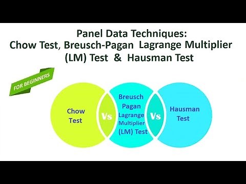 Panel Data Techniques | Chow Test, Breusch-Pagan Lagrange Multiplier LM Test and Hausman Test
