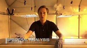 T5 LED Grow Lights (Which Ones Beat Fluorescent Tube Bulbs?)