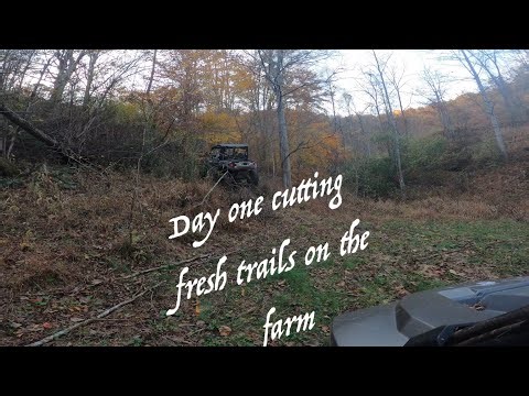 Unleashed Beast! 2024 RZR XP 1000 Tears into the Back Forty #offroad #4x4 #trail #automobile #sxs