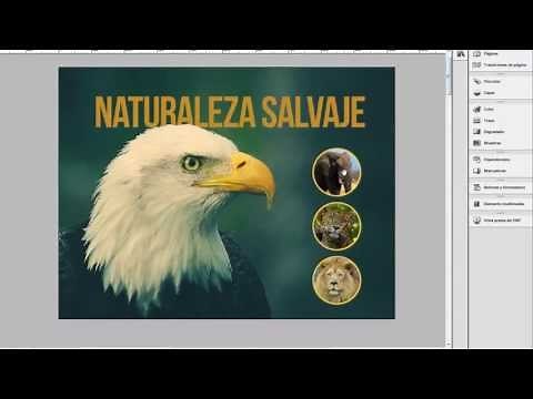 Create an interactive PDF in InDesign