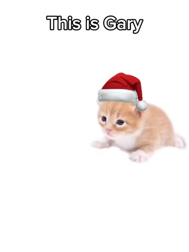 Re-upload cause I messed up the subtitle last time 🫩🥀 my bad #zenlesszonezero #mommy #jane #cosplay #christmas