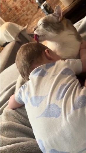 Brb my heart is exploding 💕 pop net usa 🎉 #popnetusa