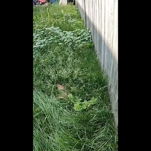 Running a service business? Tired of manual scheduling, invoicing and customer management? Introducing the #1 Service Provider Business App! Automate your workflow, boost productivity & grow revenue. Try now! | Jobber