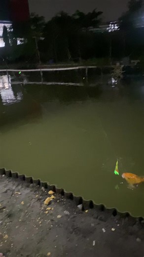 Tips for Catching Large Saltwater Fish While Casting