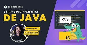 Curso de Java Profesional