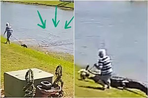 ‘The gator has me’: Horrifying video shows how alligator attack on 85-year-old in Florida unfolded