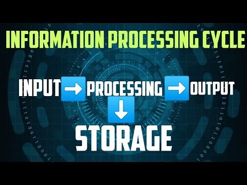 Information processing cycle | data processing cycle | information technology