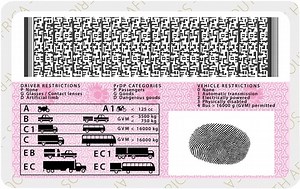 Code 10 Drivers License