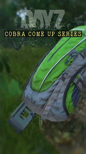 DayZ Come Up Series - COBRA