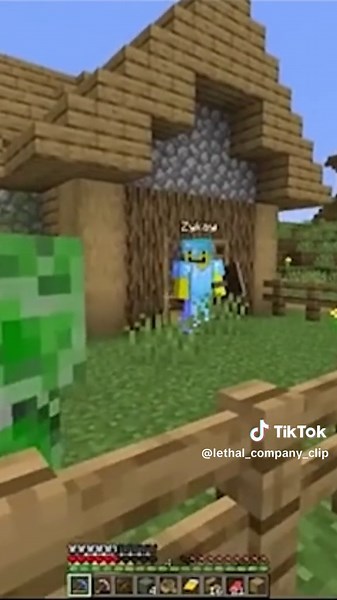 Lookout3d Minecraft Clips Compilation