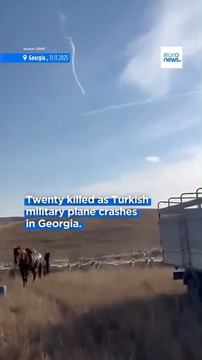 All 20 military personnel aboard a Turkish C-130 cargo plane that crashed in Georgia have been confirmed dead, according to Turkey’s government. The plane was returning from Azerbaijan to Turkey when it went down, leaving a trail of white smoke captured in video footage. | Euronews English