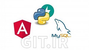 Angular 17, Python Fast API and MySQL Full-Stack App