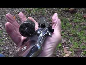 2020 Python Close-up