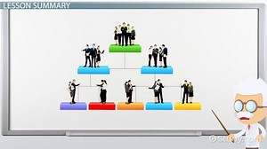 Business Organizational Structure | Overview, Types & Examples