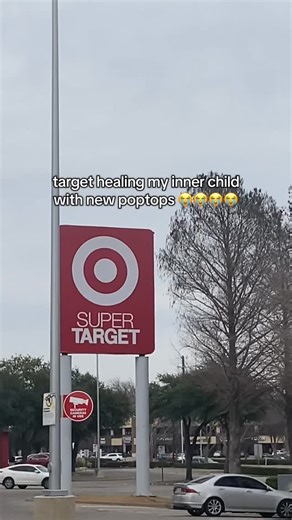 sutton on Instagram: "#target #genz #targetfinds #popsocket #postgrad #midtwenties"