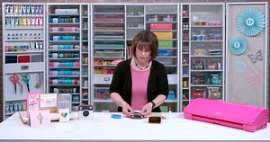 9.1K views · 89 reactions | Silhouette Studio® is the powerhouse...